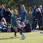 lyngs-oktober-2016-1