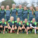 lyngs-oktober-2016-3