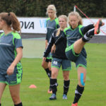 lyngs-oktober-2016-6