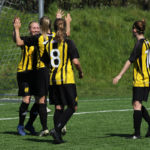 Skjold Birkeroed 2017 1
