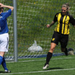 Skjold Birkeroed 2017 2