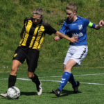 Skjold Birkeroed 2017 3