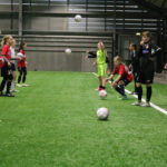 BSF Pigecamp 2