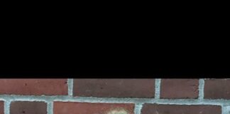 Brøndbys U18 DM-hold fik uafgjort mod svensk storklub