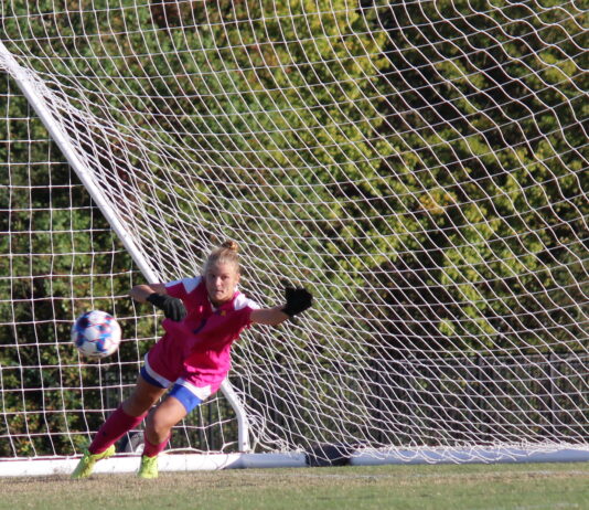 Cecilie jagter drømmen i USA