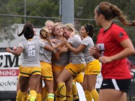 Ét spontant år er blevet til et fast liv i USA