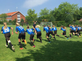 Klubber søges til projekt, der skal udvikle gode idrætsmiljøer for piger