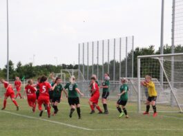 Solrød FC debuterer i 1. division: Målet er overlevelse