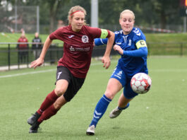 Status på 1. division: Disse hold skal spille om oprykning