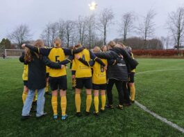 1. division slutspil: Herlufsholm og Vildbjerg fastholder førstepladserne