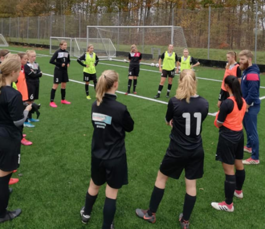 U18 CHEFTRÆNER SØGES