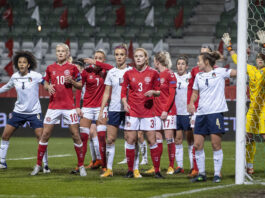 Danmark møder fire østeuropæiske lande i VM-kvalifikation