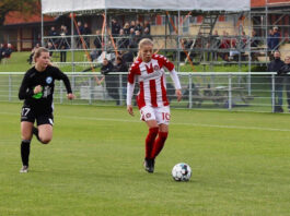 Peter Pedersen ny cheftræner i AaB