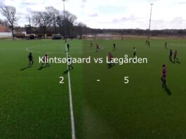 Lægårdens piger på langfart