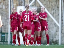 Danmark skal knække hård EM-nød: I pulje med spanske verdensmestre