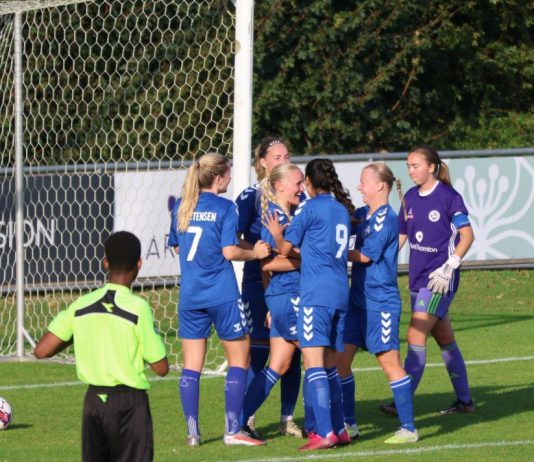 Kvindedivisionsforeningens vedtægter udfordres: ”Ligaklubber bestemmer for meget”