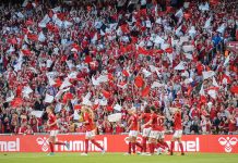 Kühl og Harder sikrer Danmarks kvinder sejr i Parken