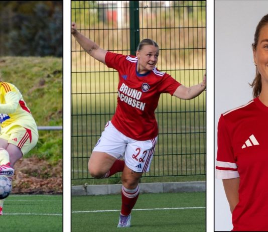 Efterårets Profil i B og C-Liga: Her er alle spillerne der fik point