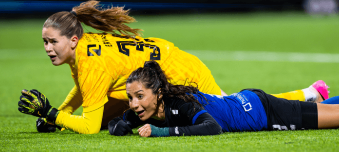 e6deb25eba81488f82a7c5645ed738f9