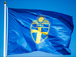 Magdalena Eriksson stopper på det svenske landshold