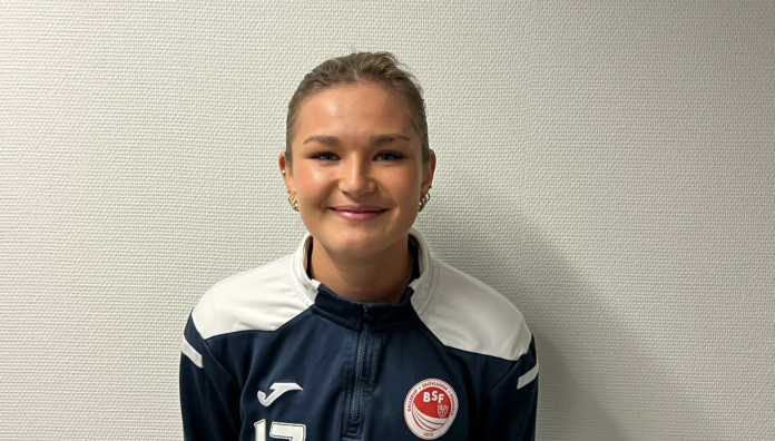 2026-02-17 kl. 15.04.46