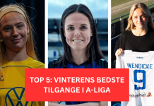 Top-5: vinterens bedste tilgange i A-Ligaen