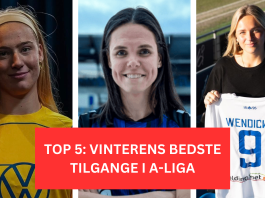 Top-5: Vinterens bedste tilgange i A-Ligaen