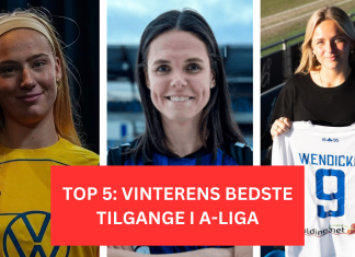 Top-5: vinterens bedste tilgange i A-Ligaen