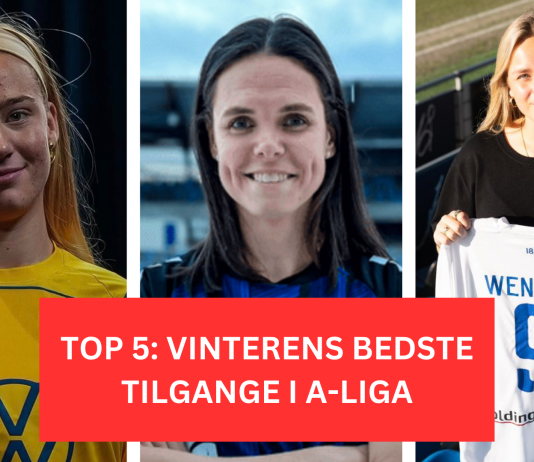 Top-5: Vinterens bedste tilgange i A-Ligaen