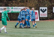 Esbjerg fB tager afsked med Head of Coaching