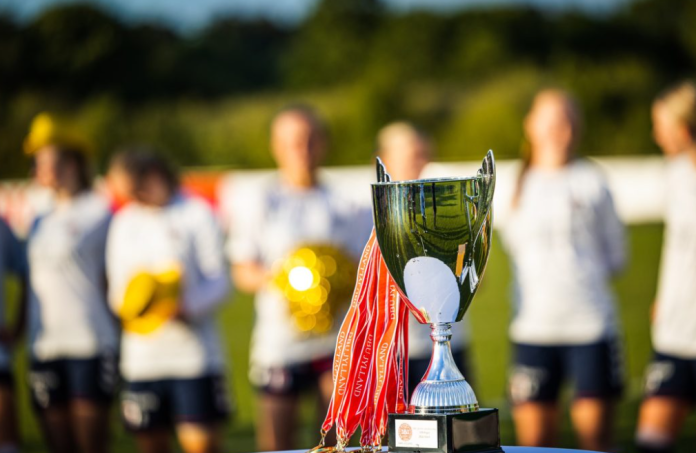 Pokalfinale
