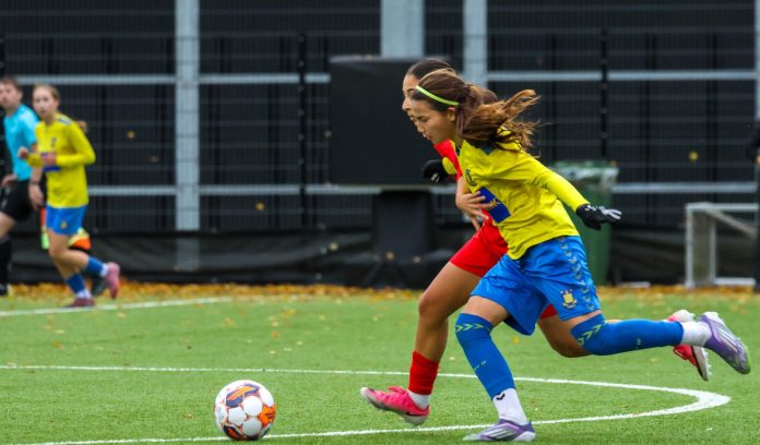 Farum BK - Brøndby IF U-16 Liga